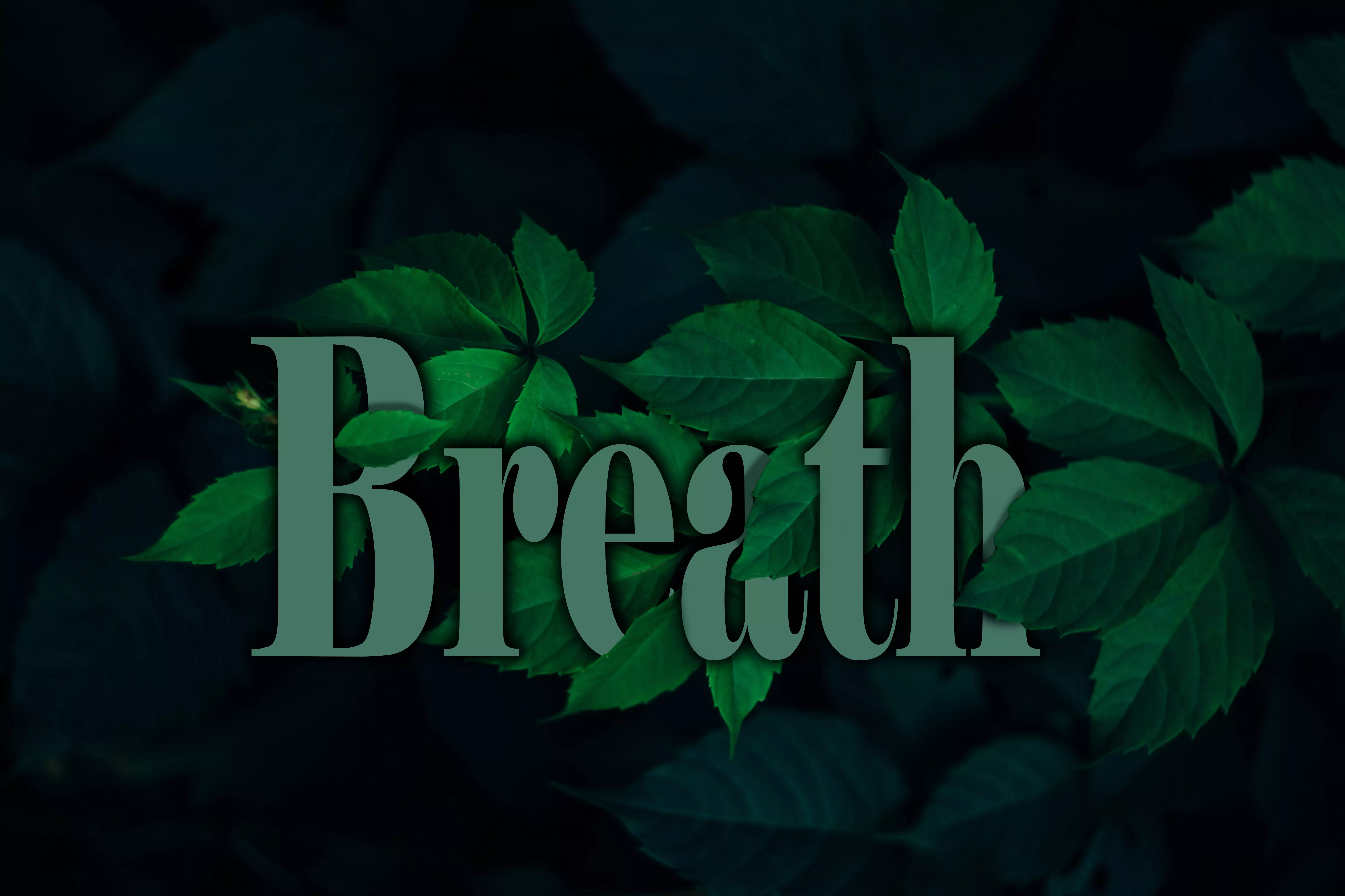 text surrounded by leaves